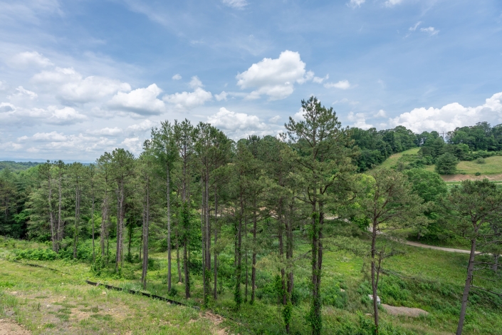 231 Westridge Farm Drive-059